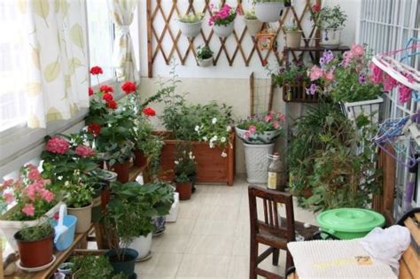 商業住宅區 家中擺放植物